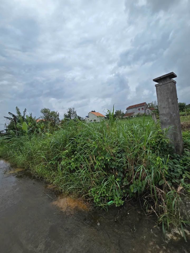 Đất Tịnh Khê Quảng Ngãi 370m² giá 1 tỷ - Sổ đỏ chính chủ, đầu tư sinh lời!