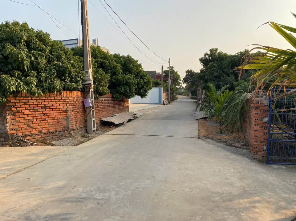 Đất nền Hợp Đức - Tân Yên 150m² giá chỉ 4xx triệu - Đầu tư sinh lời ngay!