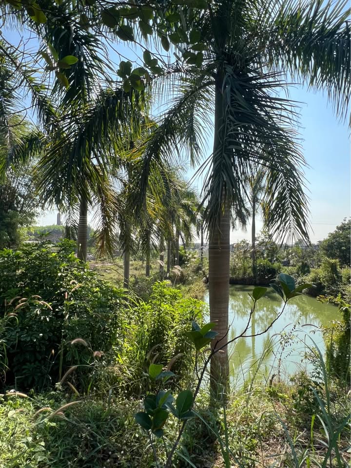 Đất nền Bãi Cháy Hạ Long 3000m² giá 2.8 tỷ - Khu vực phát triển sôi động!