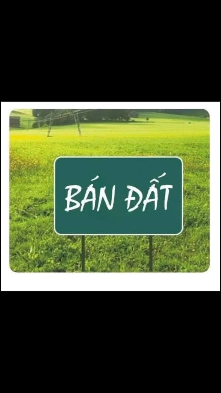 Đất phân lô Bắc Phong, Nam Bình 102m² giá 4 tỷ - Đầu tư sinh lời tuyệt vời!