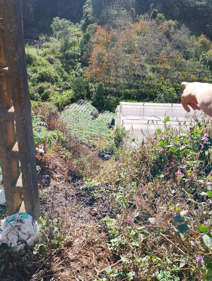 Lô đất hẻm xe hơi đường Hùng Vương, Đà Lạt 1300m² - Giá chỉ 6.24 tỷ!