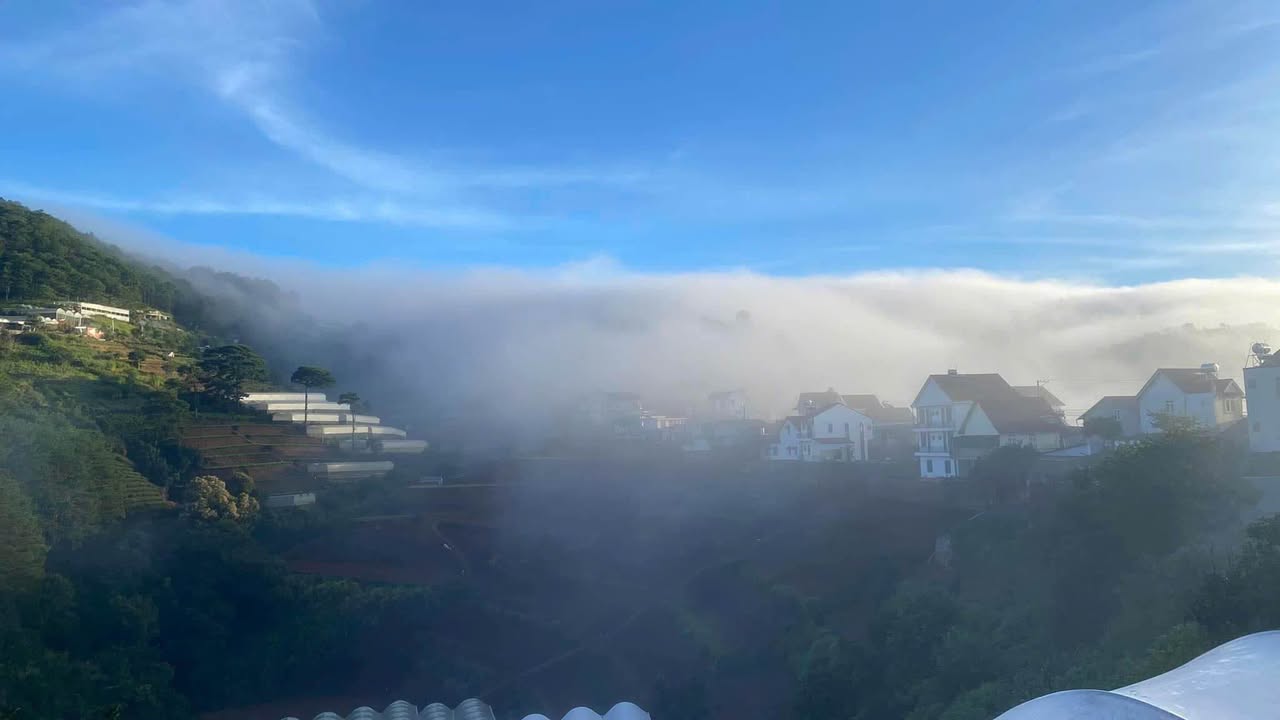 Homestay Đa Quý Đà Lạt 2000m² chỉ 33 triệu/tháng - Kinh doanh ngay!