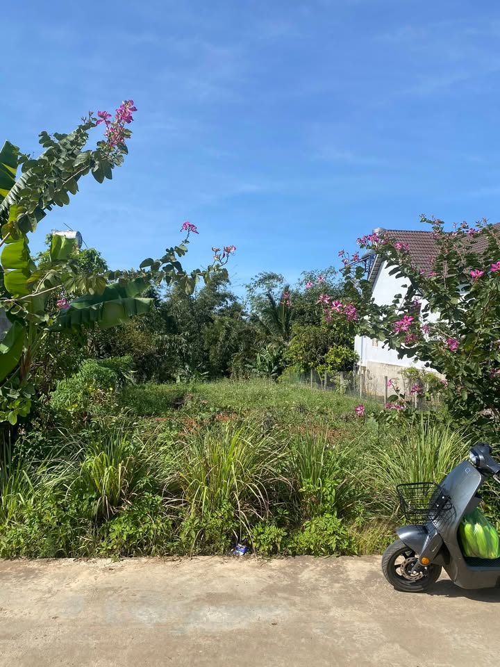 Đất thổ cư mặt đường Bêtông xã Đinh Văn, Lâm Hà 520m² chỉ 5.2 tỷ - Cơ hội đầu tư hấp dẫn!