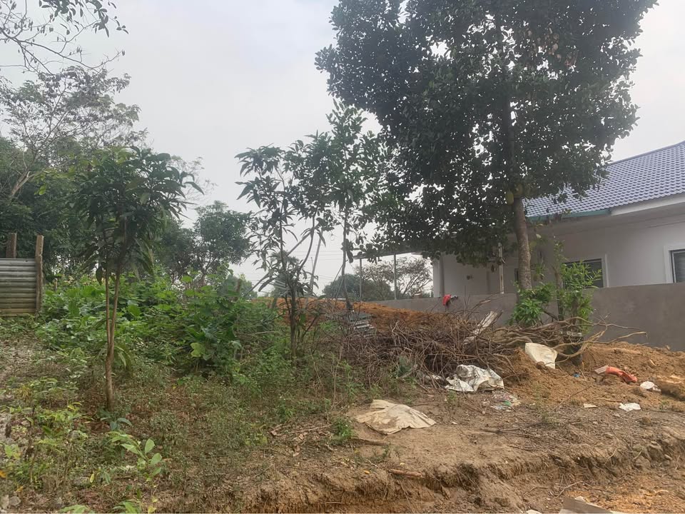 Đất nền Trung Môn Yên Sơn 330m² giá 880 triệu - Cơ hội đầu tư lý tưởng!