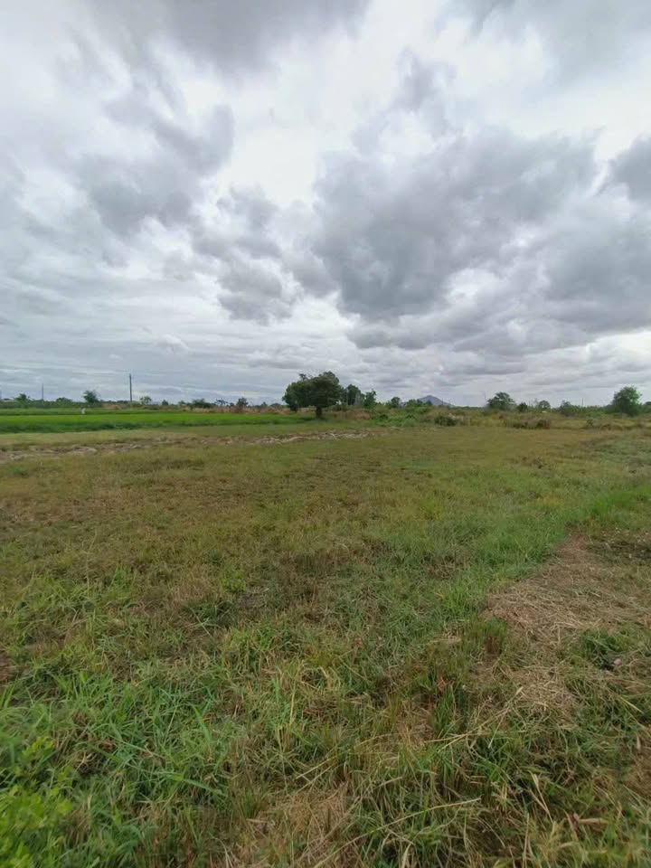 Đất Cây Lâu Năm, Hàm Chính 5040m² giá 626.4 triệu - Sổ đỏ chính chủ nhanh chóng!