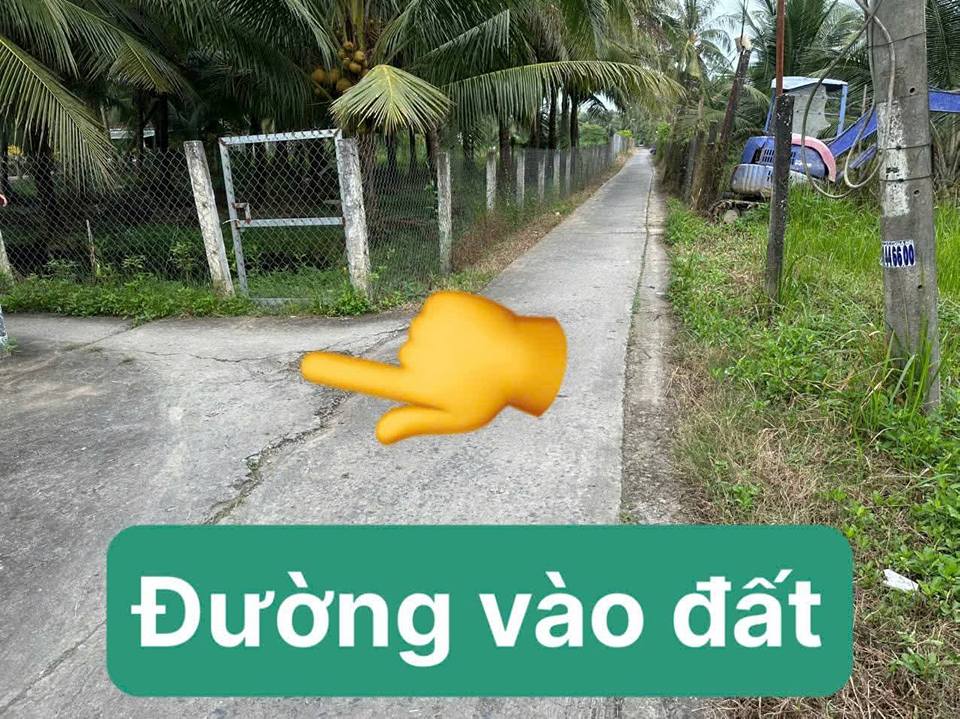 Đất thổ cư Ấp Thạnh Kiết, Đồng Tháp 100m² giá 250 triệu - Cơ hội đầu tư tuyệt vời!