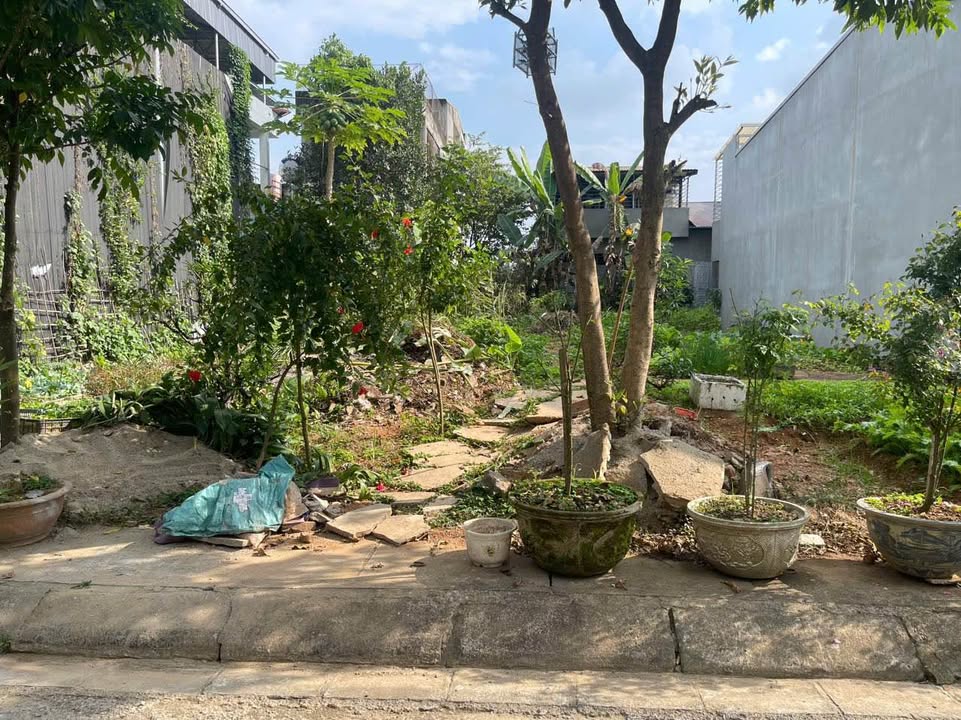 Đất nền chính chủ tại Xuân Tăng, Cam Đường, 100m² chỉ 1.31 tỷ - Bán gấp!