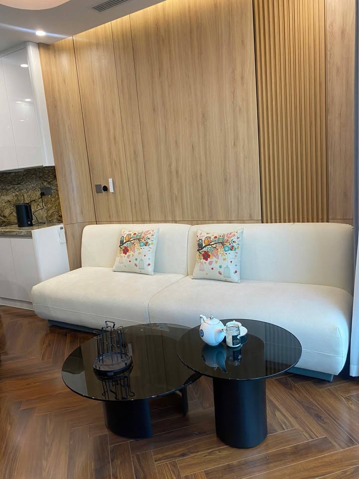 Căn hộ cho thuê Diamond Crown Hải Phòng 2PN - 15 triệu/tháng - Không gian lý tưởng cho gia đình trẻ