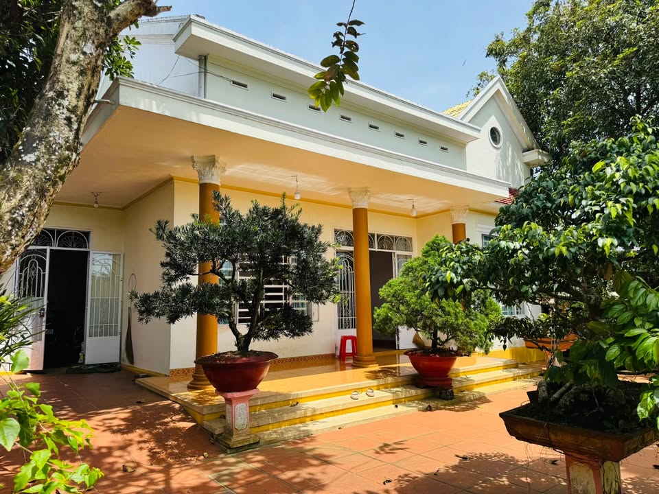 Biệt thự sân vườn TP. Bảo Lộc 592m² giá 20 tỷ - Đầu tư sinh lời ngay!