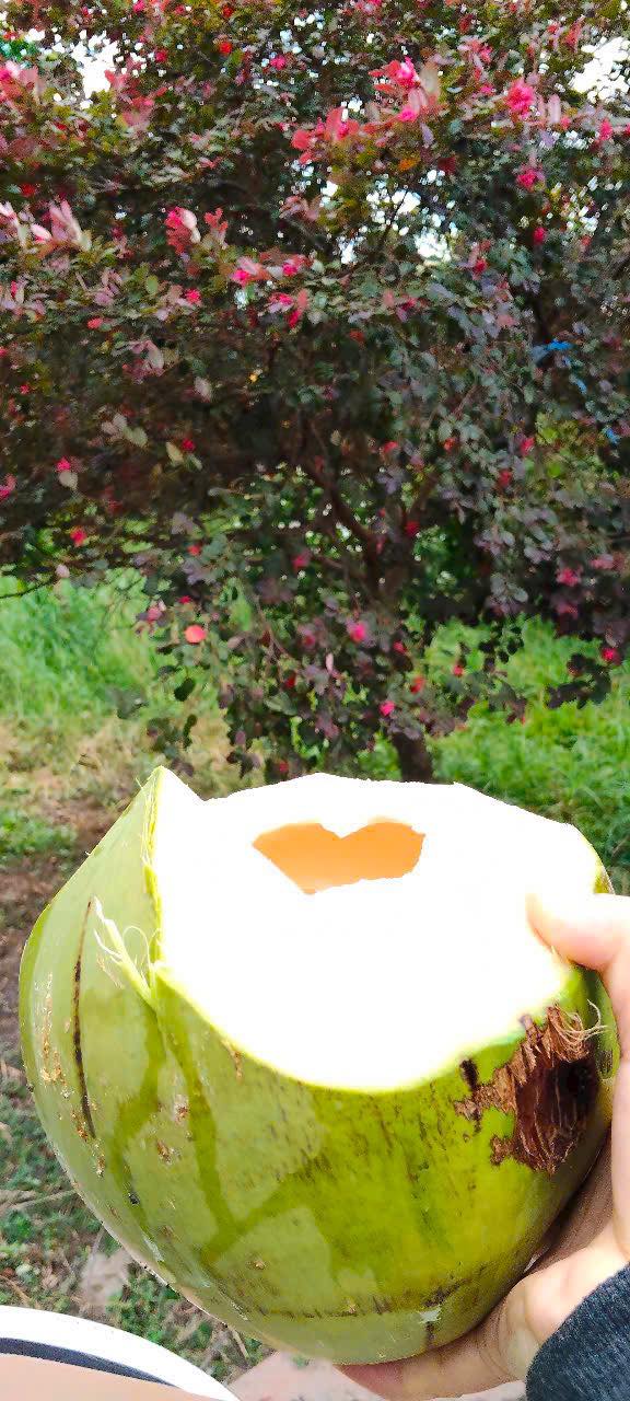 Bán nhà vườn mặt tiền Kênh Đá Hàng, Bình Mỹ, Củ Chi 1192.5m² - Đầu tư sinh lời hấp dẫn!