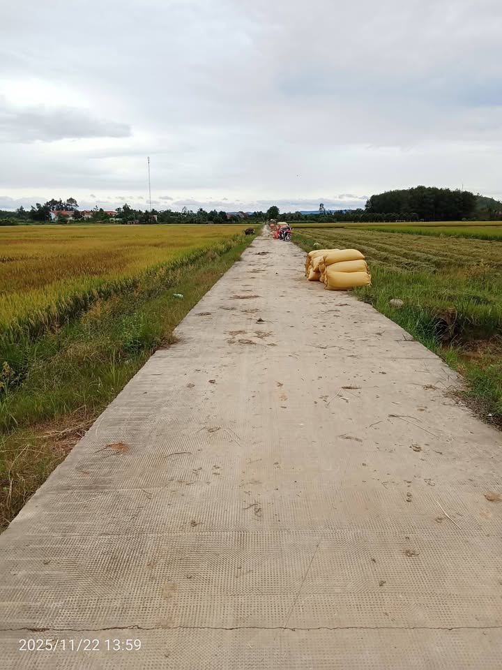 Đất nền 3 xào Đăk Lua, Tân Phú, Đồng Nai - Mặt tiền 36m giá chỉ 2xx triệu!