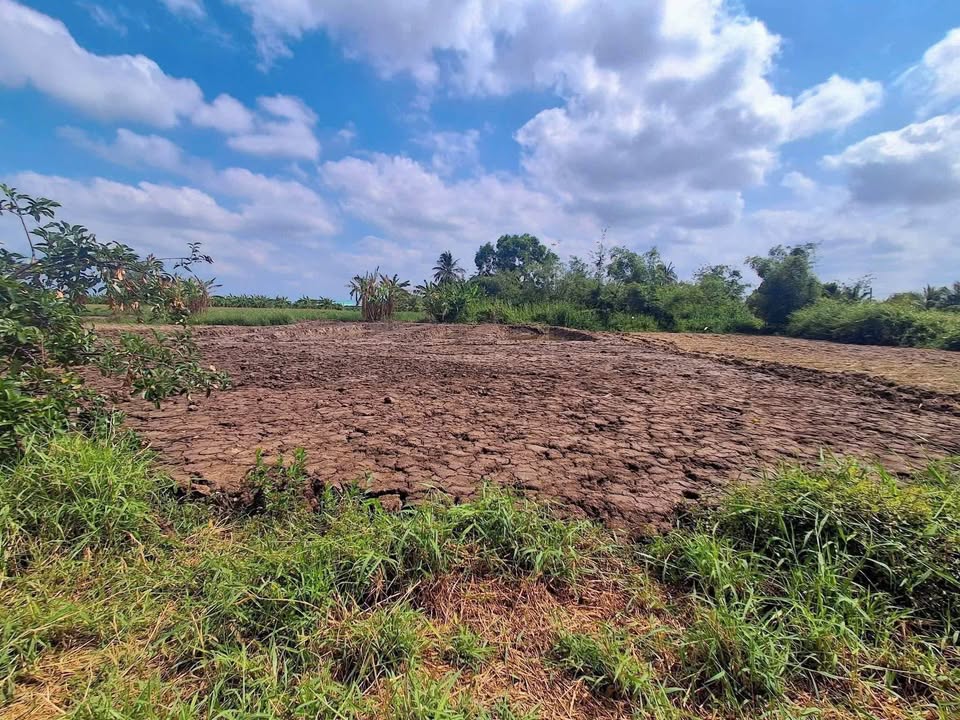 Đất nền mặt tiền kênh Lễ Quyền xã Lý Văn Lâm 520m² - Giá tốt nhất khu vực!