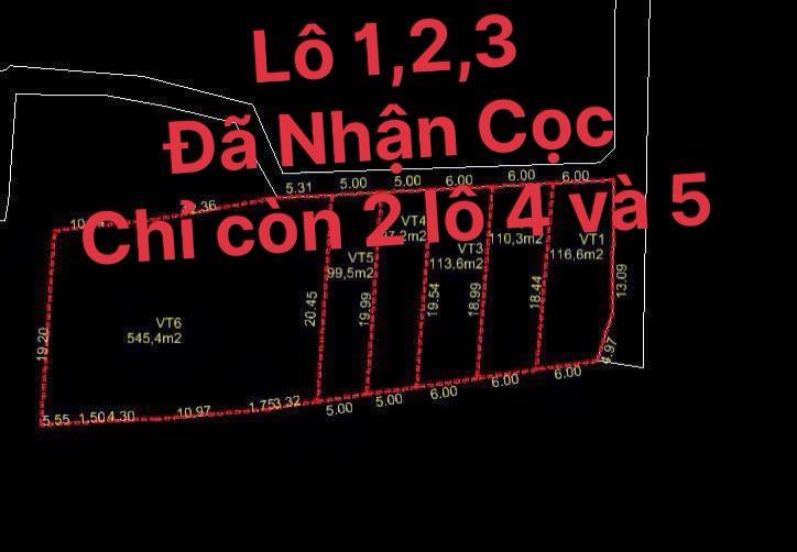 Đất nền dự án Mạc Đỉnh Chi, Long Điền 80m² giá 1.45 tỷ - Cơ hội đầu tư hấp dẫn!