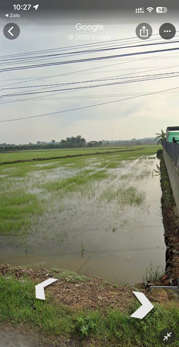 Đất nền Lạc Tấn, Tân Trụ 300m² giá 2.3 tỷ - Sổ đỏ chính chủ, thương lượng ngay!