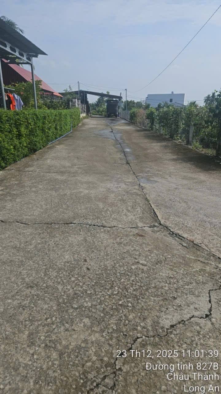 Đất nền 150m² ấp Phú Xuân, Châu Thành, Long An - Giá chỉ 430 triệu, cơ hội đầu tư hấp dẫn!