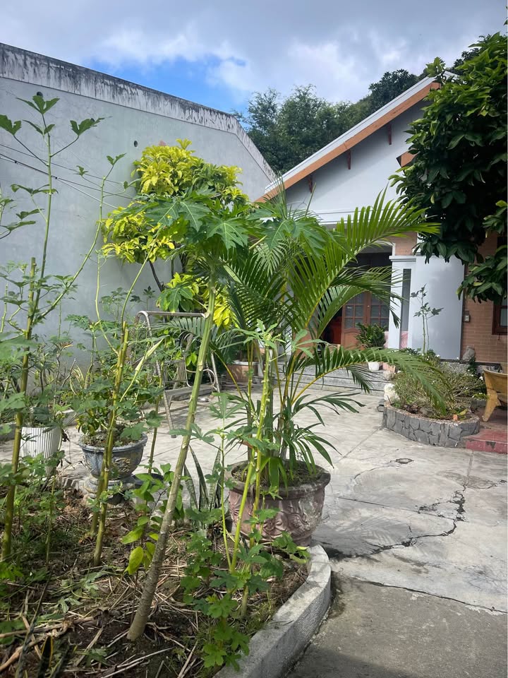 Lô đất Phạm Văn Đồng Nha Trang 330m² giá 28.05 tỷ - Đầu tư sinh lời tuyệt vời!