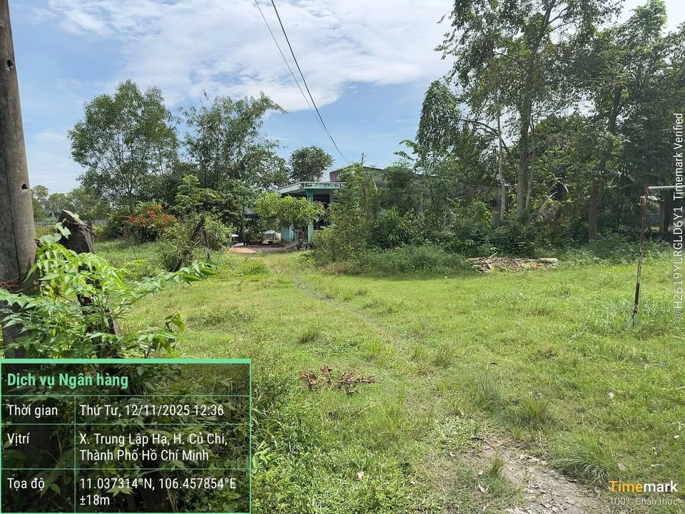 Đất vườn Trung Lập Hạ Củ Chi 525m² giá 1 tỷ - Đầu tư lý tưởng cho nhà vườn!
