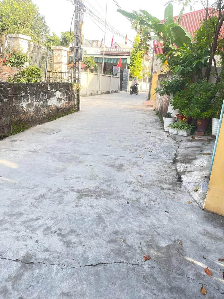 Đất nền Kim Anh 133m² giá 1 tỷ - Cơ hội đầu tư hấp dẫn!