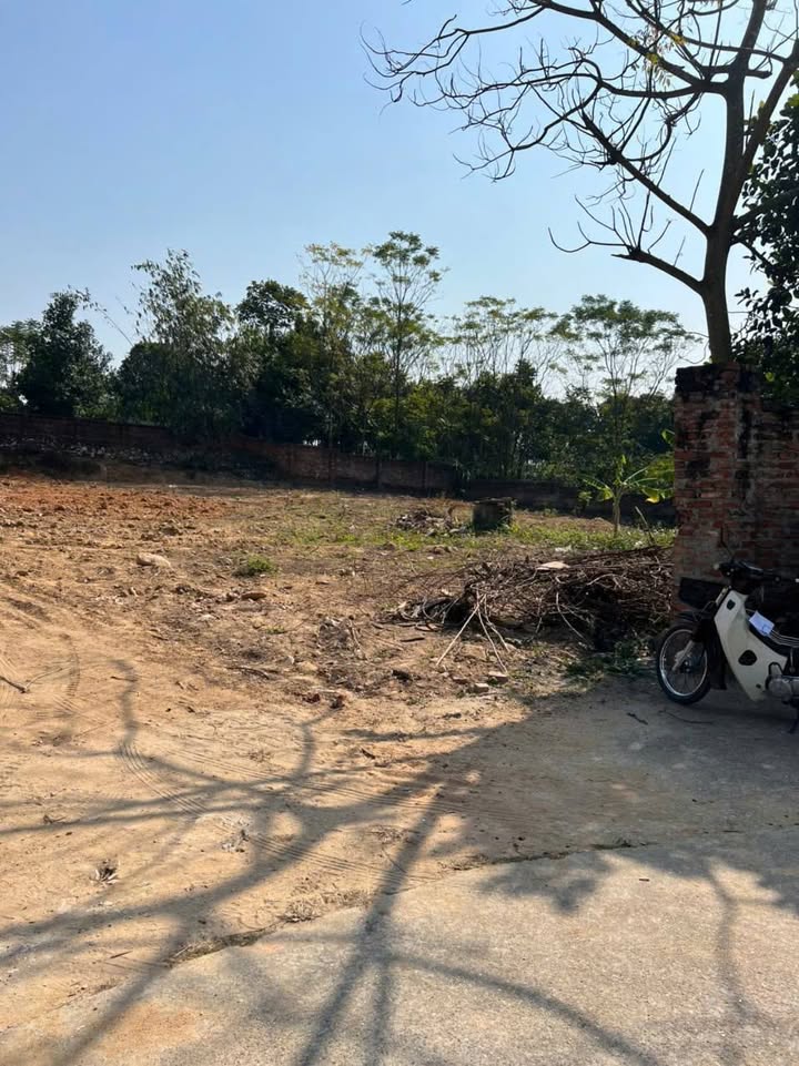 Đất thổ cư Châu Phong, Quế Võ, Bắc Ninh 1053m² giá 80 tỷ - Vị trí đắc địa gần KCN!