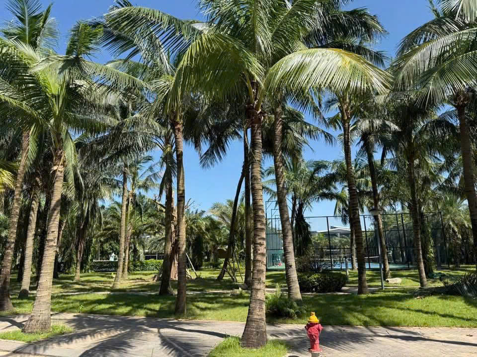 Đất nền Ecorivers Hải Dương 150m² giá 30 tỷ - Không gian sống lý tưởng!