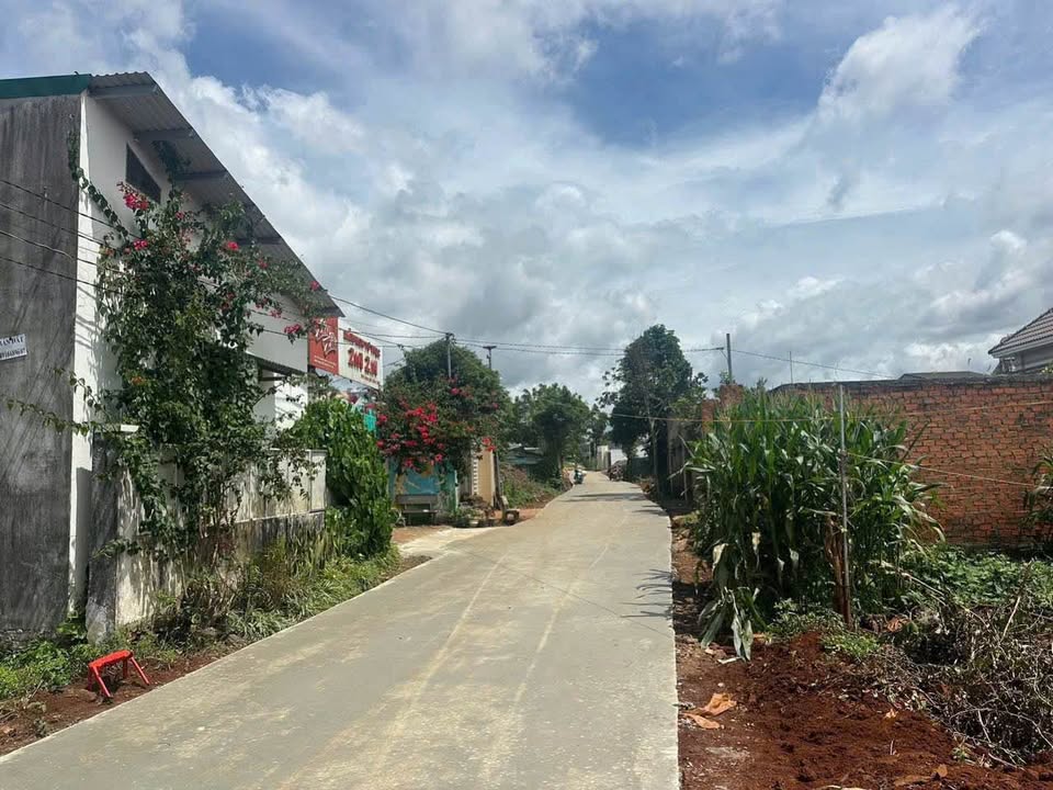 Đất hẻm cấp 1 Hòa Thắng, Buôn Ma Thuột 126m² giá 1 tỷ - Cơ hội đầu tư hấp dẫn!