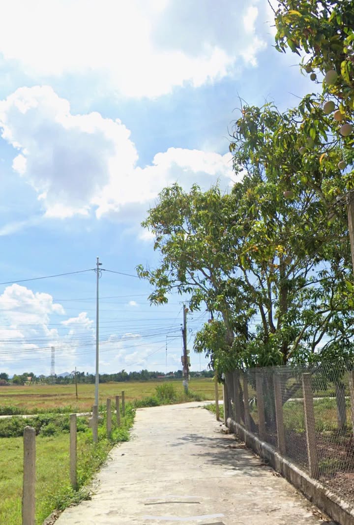 Lô đất thổ cư 233m² tại Ninh An - Giá chỉ 850 triệu, đầu tư ngay!