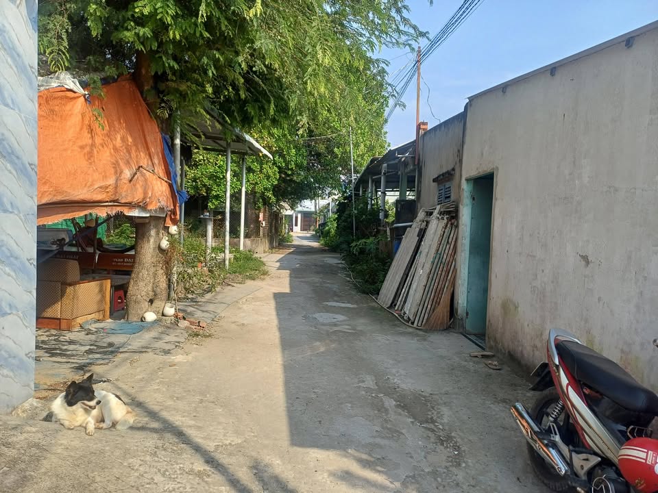 Nhà riêng xã Mỹ Hạnh, Đức Hòa 115m² giá 1.95 tỷ - Sẵn sàng vào ở!