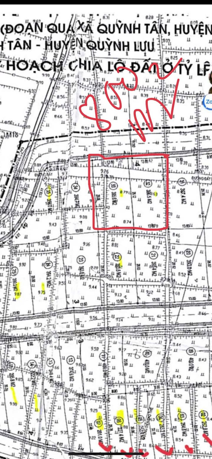 Đất đấu giá Quỳnh Tân Quỳnh Lưu 800m² - Chính chủ bán gấp!