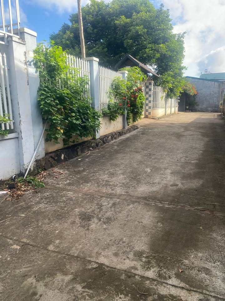 Phòng trọ cho thuê Hẻm 199 Phạm Ngũ Lão 30m² giá 1.5 triệu - Gác lửng tiện nghi!