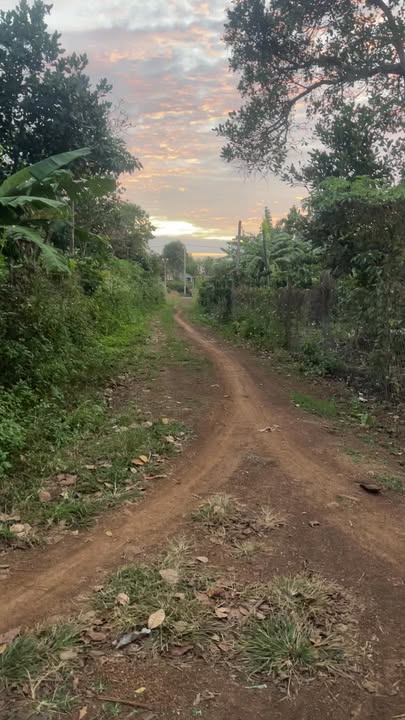 Đất nền thôn 6 Ea M'nang 3600m² giá 1.4 tỷ - Mặt tiền rộng, thuận tiện kinh doanh!