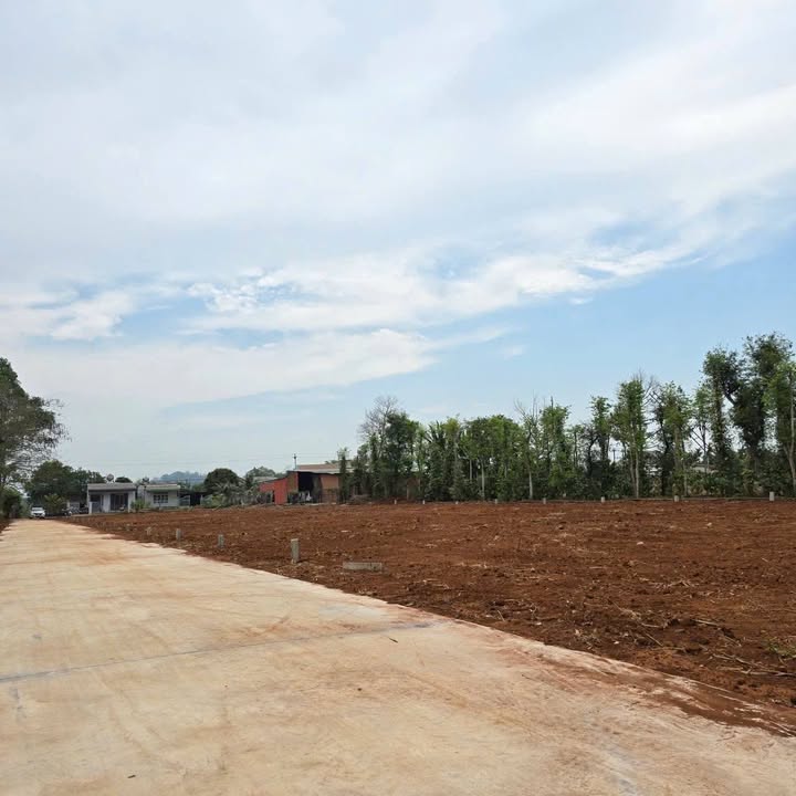 Đất thổ cư 125m² tại Thôn 3 Cư Suê, chỉ 400 triệu - Đầu tư sinh lời ngay!