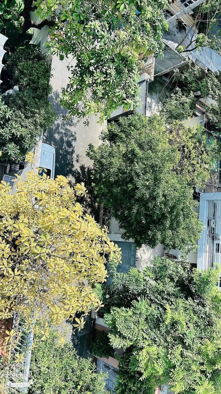 Biệt thự lô góc 430m² Cách Mạng Tháng 8, Tân Bình - Đầu tư sinh lời hiếm có!