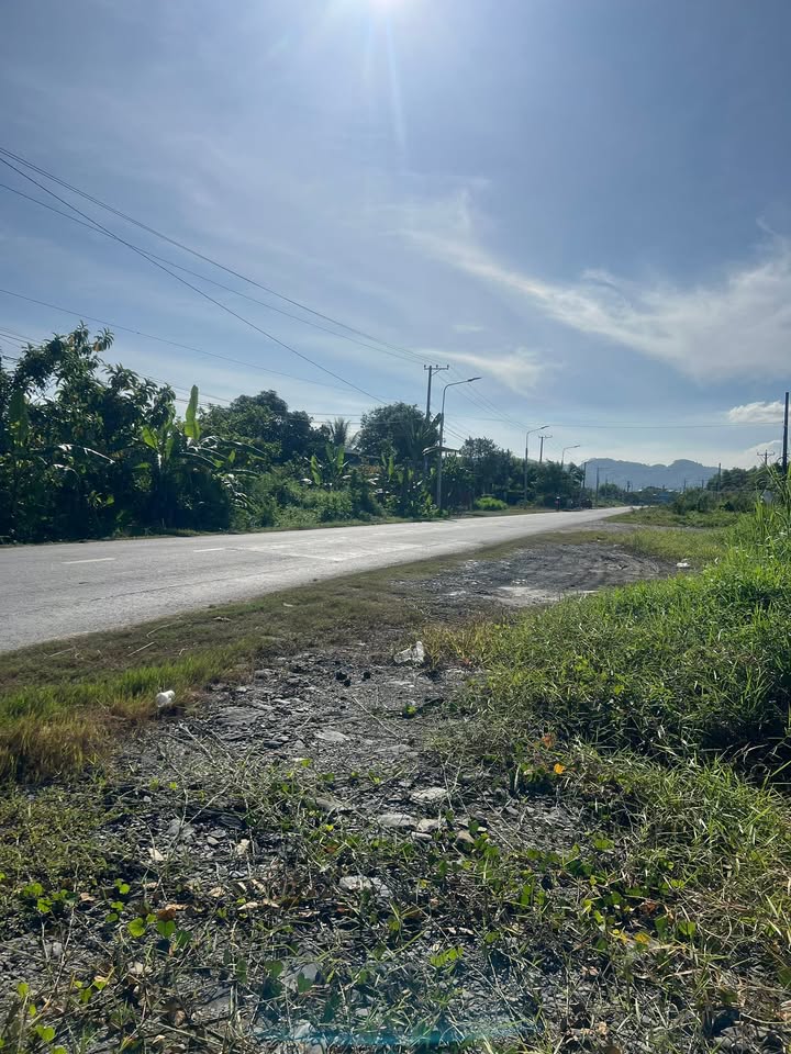 Đất mặt đường 721 Đạ Tẻh 3000m² giá 4.7 tỷ - Đầu tư sinh lời ngay!