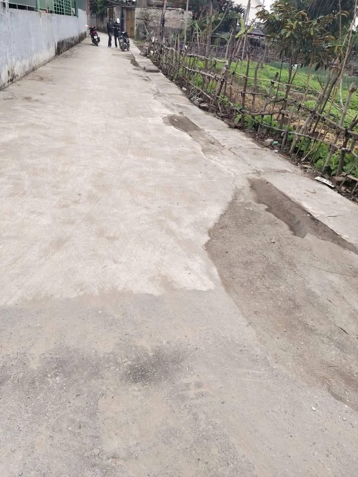 Đất thổ cư Hiệp Hòa Vĩnh Bảo 360m² giá 3.3 tỷ - Cơ hội đầu tư tuyệt vời!