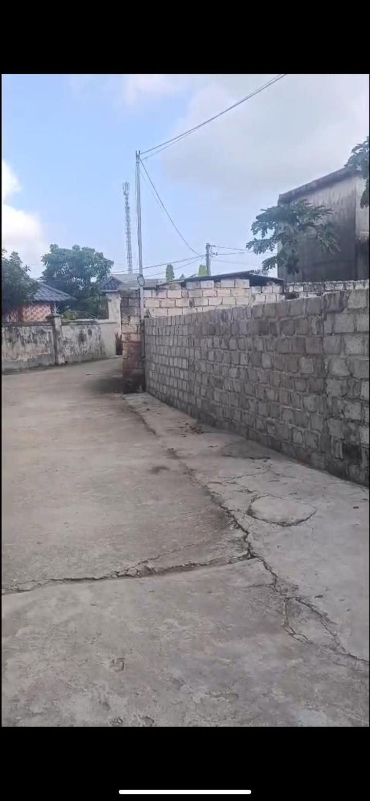 Đất nền Vĩnh Hòa, Vĩnh Bảo 372m² giá 1 tỷ - Đầu tư sinh lời ngay!