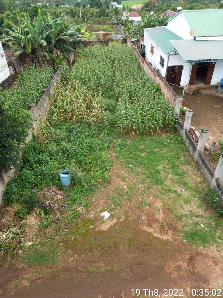 Lô Đất Đẹp tại Chư Păh, Gia Lai 453m² giá 899 triệu - Pháp lý đầy đủ, xây dựng ngay!