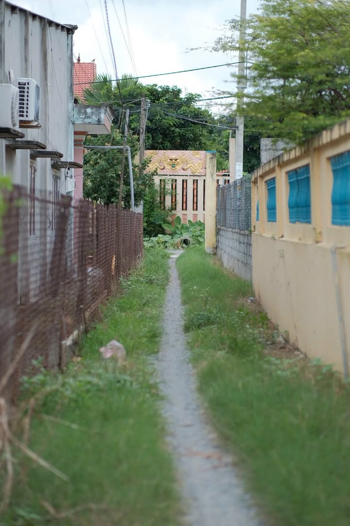 Nhà cấp 4 200m² tại ấp 7, xã Thanh Đông - Giá chỉ 1.1 tỷ, sổ hồng riêng!