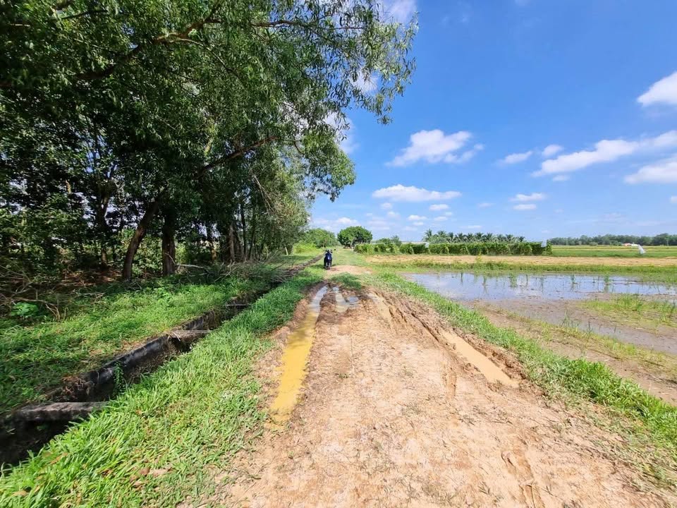 Đất Bờ Kênh xã Trung Lập Thượng 4396m² giá chỉ 2.2 tỷ - Cơ hội đầu tư hấp dẫn!