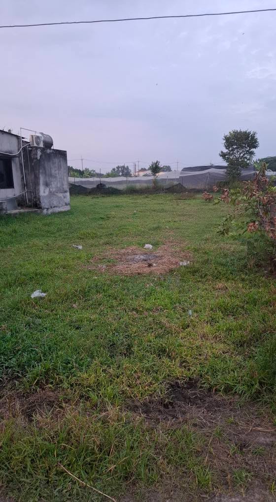 Đất thổ cư 300m² tại Ấp Giồng Sao, Củ Chi - Giá chỉ 2.85 tỷ, cơ hội đầu tư tuyệt vời!