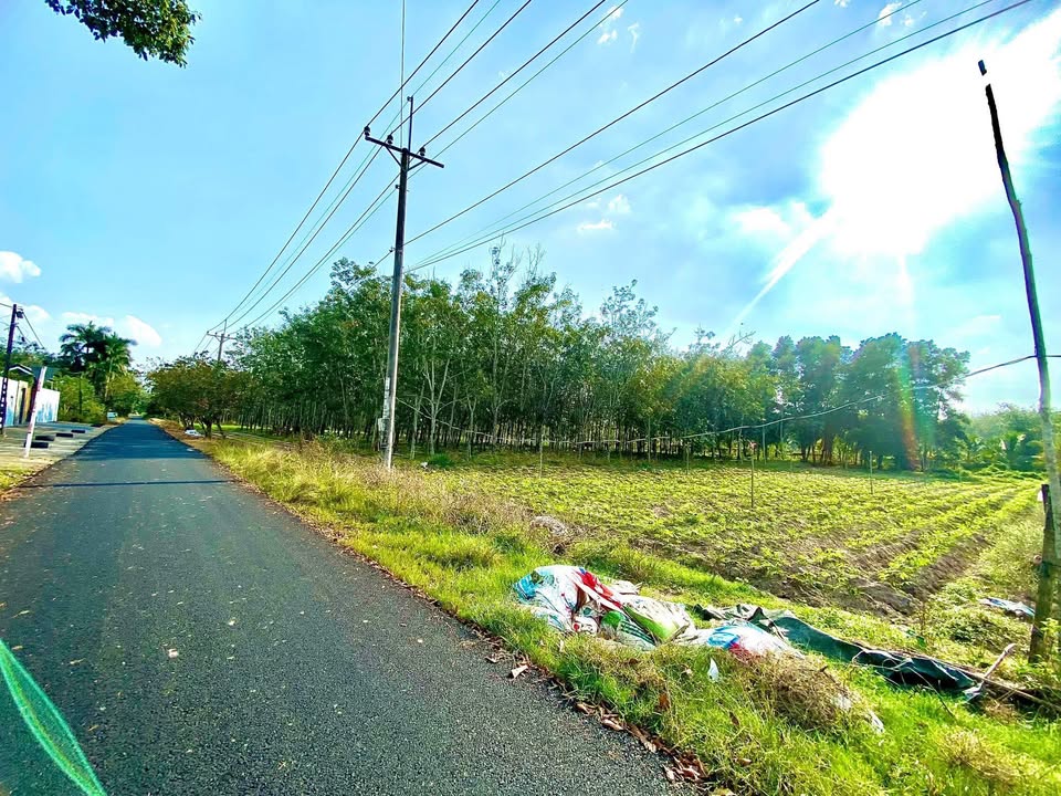 Đất chính chủ An Nhơn Tây, Củ Chi 1000m² giá 4.5 tỷ - Cơ hội đầu tư hấp dẫn!