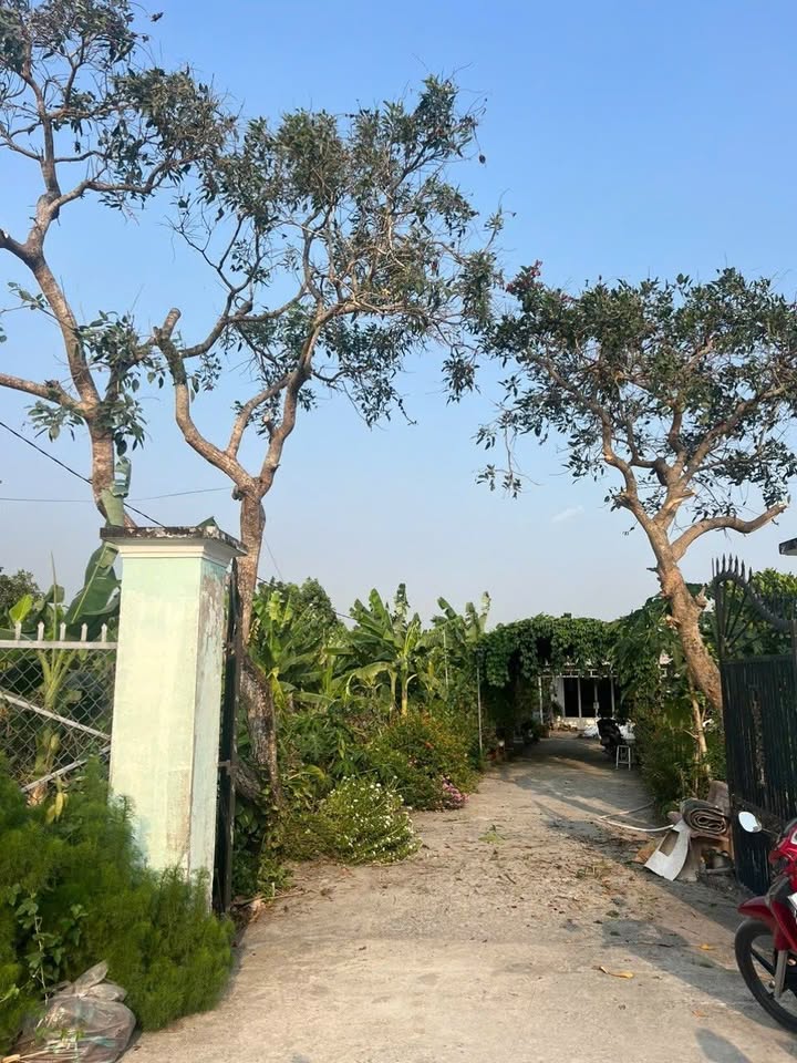 Đất Farm 3330m² tại Trung Lập Hạ, Củ Chi - Chính chủ bán gấp giá 10 tỷ