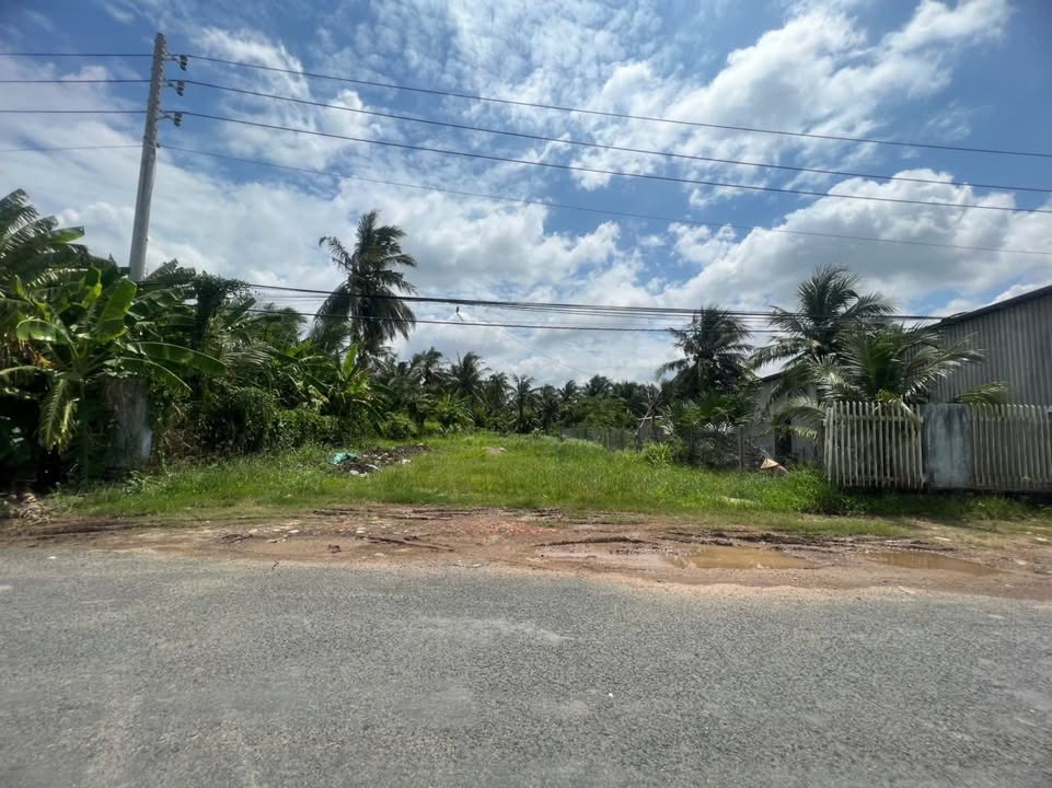 Đất mặt tiền HL04, Phường Phú Tân, Bến Tre 1300m² - Cơ hội đầu tư tuyệt vời!