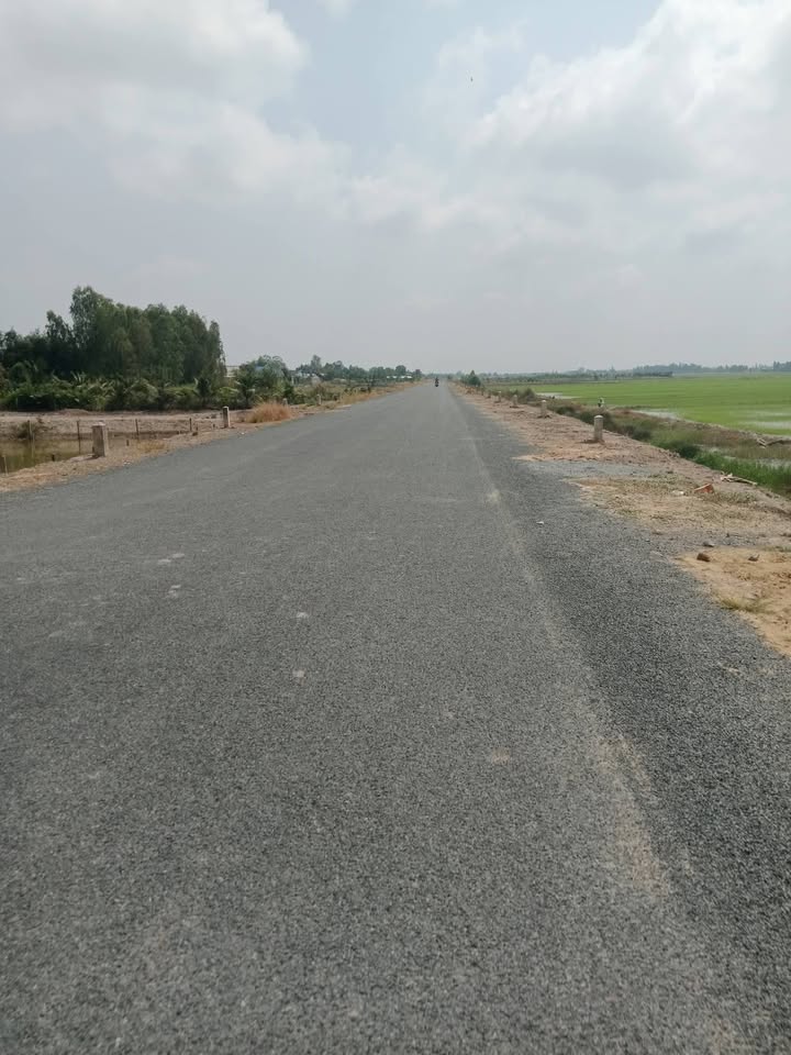 Đất nền Trường Xuân Đồng Tháp 10.000m² giá 2.1 tỷ - Mặt tiền 48m tỉnh lộ 845!