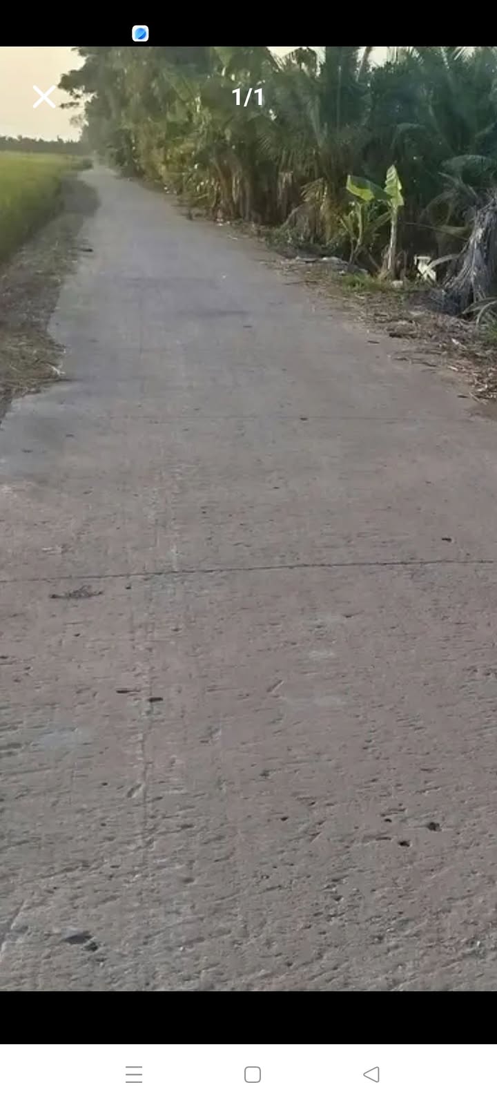 Đất nông nghiệp 50.000m² xã Mỹ Quý, Tháp Mười - Giá 2.3 tỷ, thương lượng!