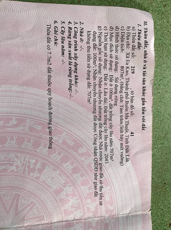 Đất thổ cư 100m² tại thôn Cao Thắng, phường Ea Tam giá 10.5 tỷ - Cơ hội đầu tư hấp dẫn!