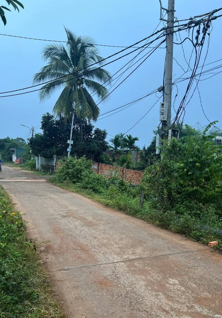 Đất hẻm 174 Y Wang, Buôn Ma Thuột 119m² giá 1.4 tỷ - Đầu tư an toàn!