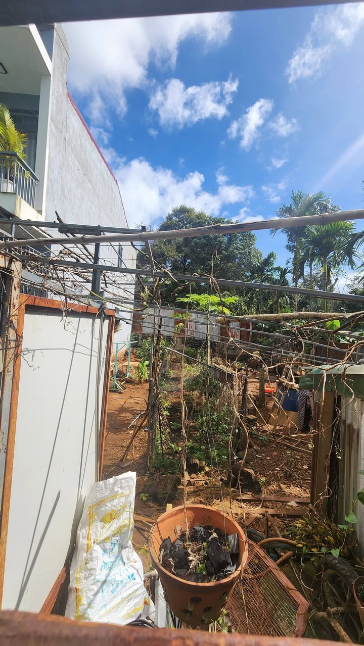 Đất thổ cư 100% tại Hẻm Nguyễn Xuân Nguyên - Chỉ 1.25 tỷ, sổ hồng đầy đủ!