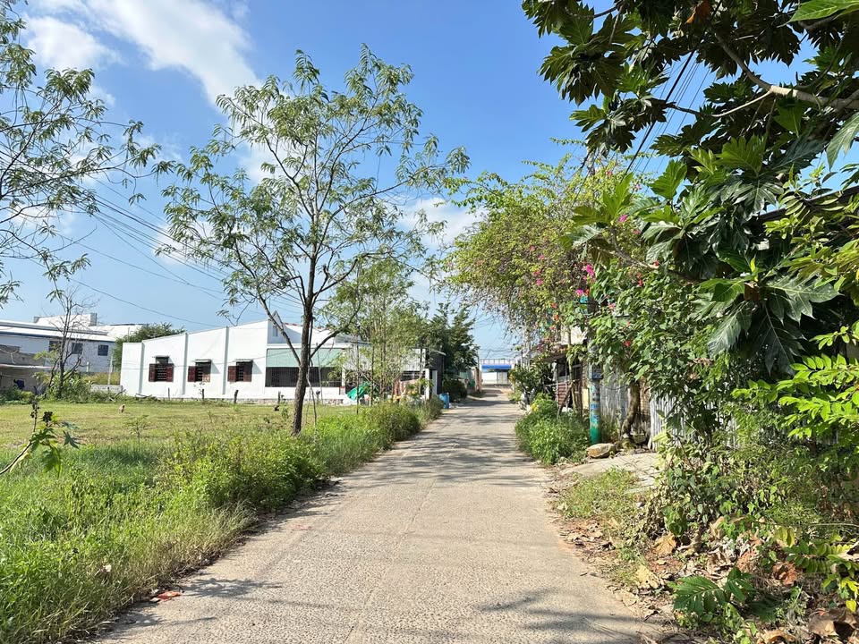 Đất thổ cư mặt tiền đường bê tông Thôn Dân Phú, Hàm Kiệm 300m² - Giá chỉ 1 tỷ!