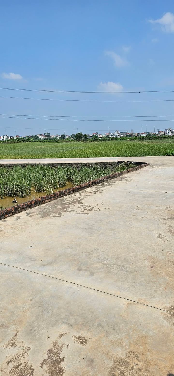 Đất nền Thôn Tiên Phong, Nội Hoàng 416m² - Đầu tư sinh lời ngay!