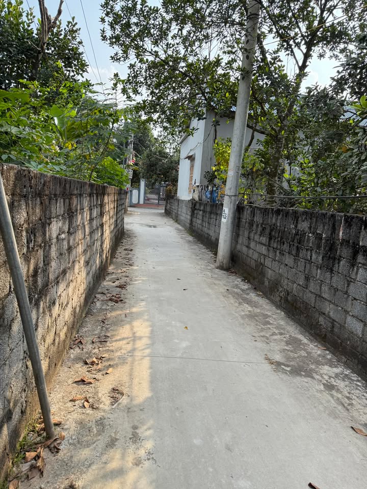 Đất thổ cư Hát Môn, Phúc Thọ 90m² giá 3x triệu - Đường ô tô vào tận nơi!